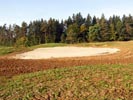 Travna ruša Gregorc >> Galerija - Golf igrišče