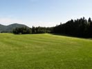 Travna ruša Gregorc >> Galerija - Golf igrišče