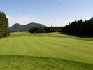 Travna ruša Gregorc >> Galerija - Golf igrišče