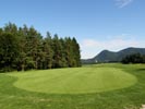 Travna ruša Gregorc >> Galerija - Golf igrišče