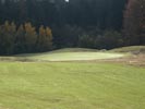 Travna ruša Gregorc >> Galerija - Golf igrišče