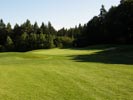 Travna ruša Gregorc >> Galerija - Golf igrišče