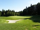 Travna ruša Gregorc >> Galerija - Golf igrišče