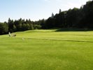 Travna ruša Gregorc >> Galerija - Golf igrišče