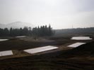 Travna ruša Gregorc >> Galerija - Golf igrišče