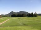 Travna ruša Gregorc >> Galerija - Golf igrišče