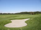 Travna ruša Gregorc >> Galerija - Golf igrišče