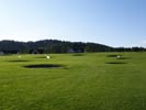 Travna ruša Gregorc >> Galerija - Golf igrišče