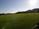 Travna ruša Gregorc >> Galerija - Golf igrišče
