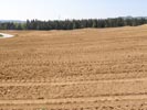 Travna ruša Gregorc >> Galerija - Golf igrišče
