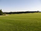 Travna ruša Gregorc >> Galerija - Golf igrišče