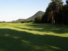 Travna ruša Gregorc >> Galerija - Golf igrišče