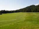 Travna ruša Gregorc >> Galerija - Golf igrišče