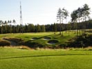 Travna ruša Gregorc >> Galerija - Golf igrišče