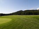 Travna ruša Gregorc >> Galerija - Golf igrišče