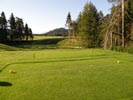 Travna ruša Gregorc >> Galerija - Golf igrišče