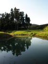 Travna ruša Gregorc >> Galerija - Golf igrišče