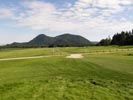 Travna ruša Gregorc >> Galerija - Golf igrišče