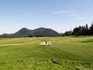 Travna ruša Gregorc >> Galerija - Golf igrišče