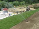 Travna ruša Gregorc >> Galerija - Potek dela 3