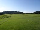 Travna ruša Gregorc >> Galerija - Reference