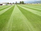 Travna ruša Gregorc >> Galerija - Strojna priprava